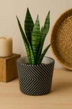 Macetero minimalista - Imagen 2