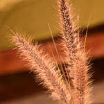 Pack Trío de Floreros Decorativos – Tono Marfil - Imagen 3